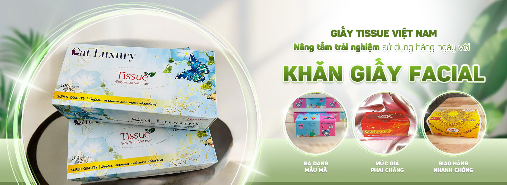 Công Ty CP Thương Mại Và Sản Xuất Giấy Tissue Việt Nam